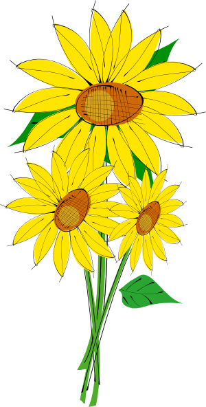 300x592 Free Sunflower Clipart Free Clip Art Images Image