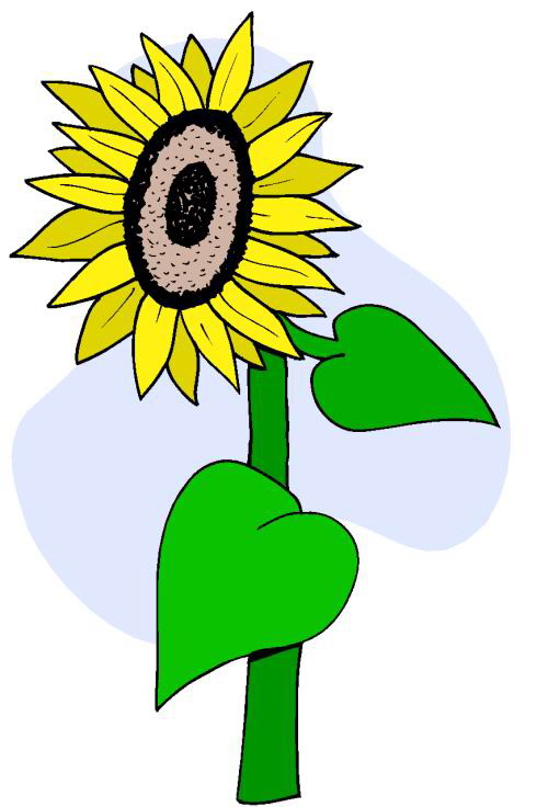 490x736 Free Sunflower Clipart Public Domain Flower Clip Art Images And 4