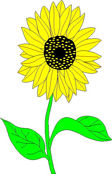 379x589 Sunflower Clip Art 2