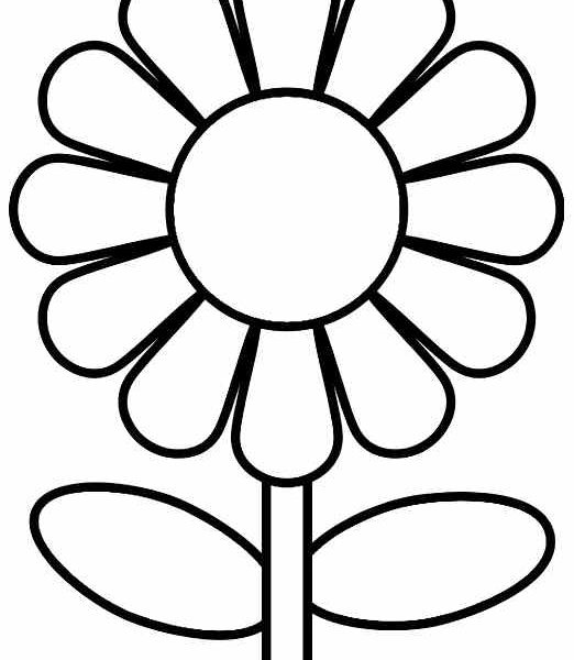 522x600 Printable Pictures Of Sunflowers Sunflower Color Page Printable