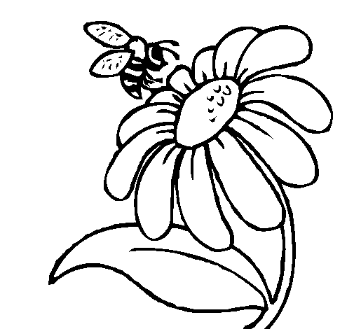 505x470 Sunflower And Bee Clip Art Cliparts