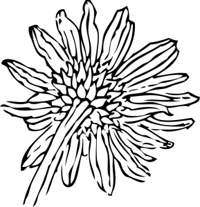 289x300 Sunflower Clip Art 4 2