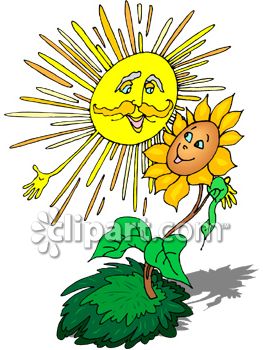 263x350 Clipart Picture Of Sun Shining Down On A Flower