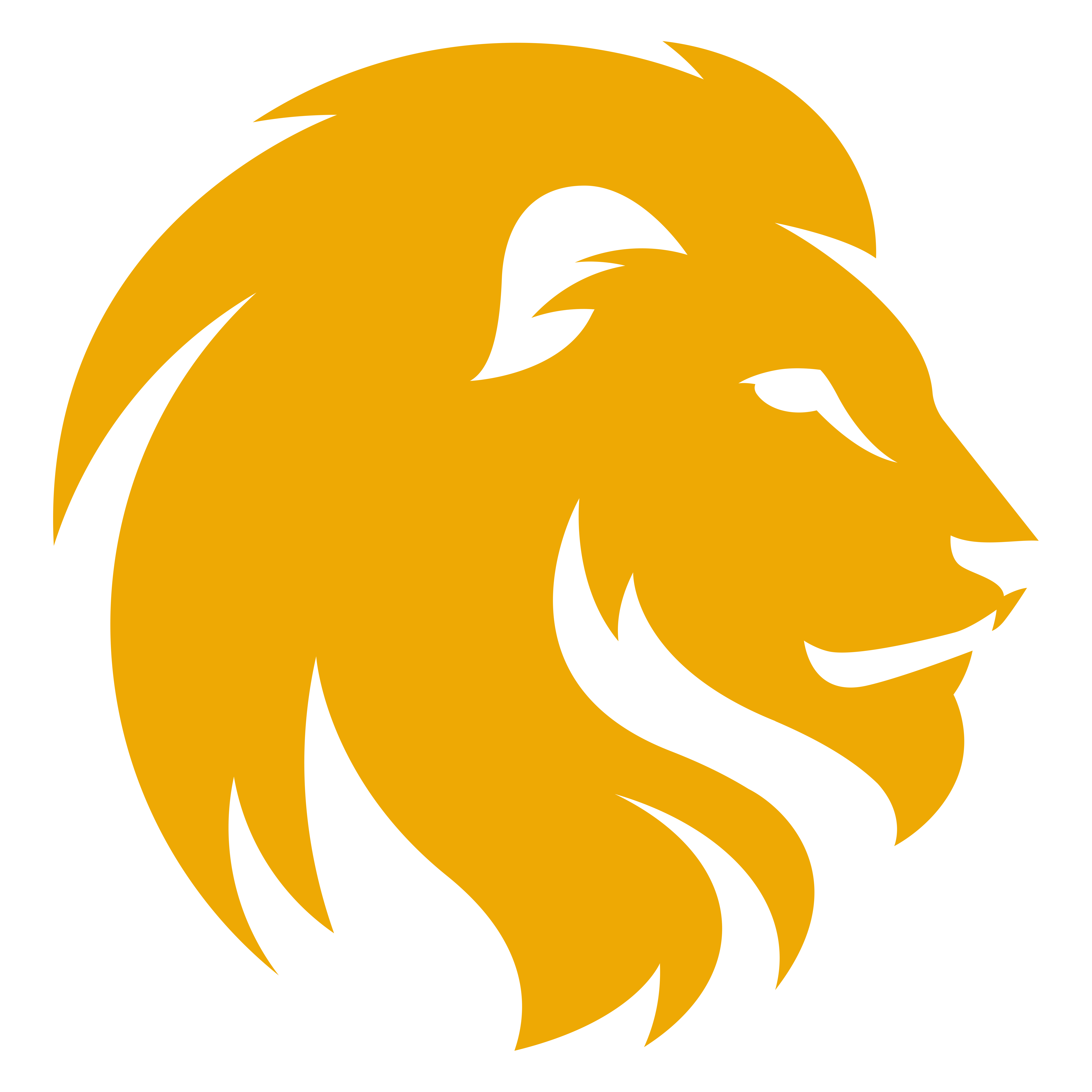 5346x5346 Lion Clipart Transparent Background