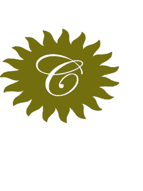 480x640 Testing Green Sun Background Final 400.png