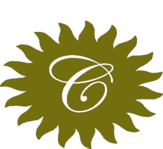 526x480 Testing Green Sun Background.png