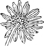 189x196 Sunflower Clip Art Download 25 Clip Arts