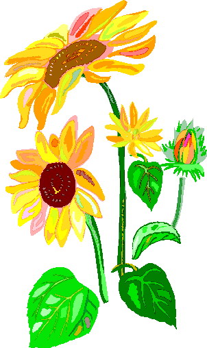 302x508 Free Sunflower Border Clipart Image