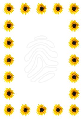 279x400 Sunflower Border Clipart