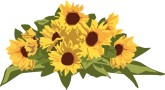 165x90 Sunflower Border Clipart