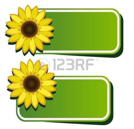 450x433 Black And White Sunflower Photography Clipart Panda