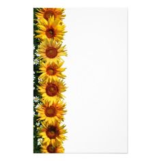 236x236 Free Sunflower Borders