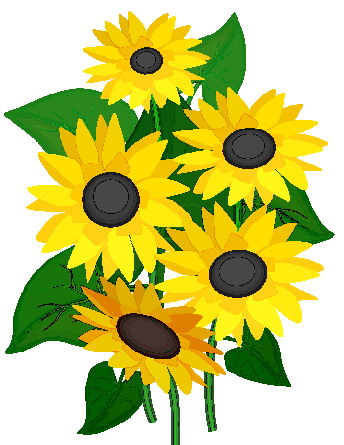 344x445 Clipart Sunflowers