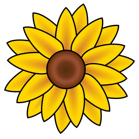 480x480 The Best Sunflower Clipart Ideas Sunflower