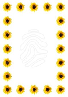 236x338 Sunflower Border Clip Art Frame Golden Sunflowers Golden