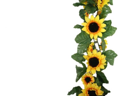 450x338 Sunflower Border Clipart 2118702