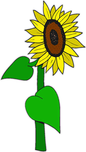 300x531 Sunflowers Clip Art And Design