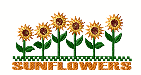 548x292 Sunny Summer Borders