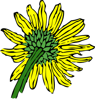 336x348 Happy Sunflower Clipart Free Clipart Images Clipartbold 3