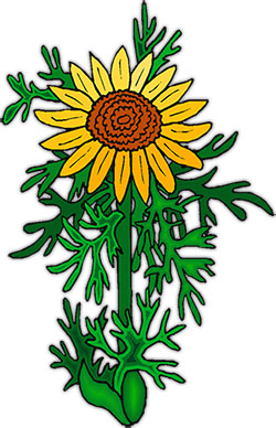 250x388 Plant Sunflower Clipart