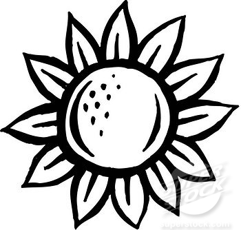 350x334 Sunflower Clip Art Black And White Page 597 Cliparts
