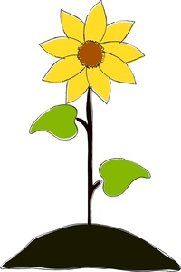 200x300 Sunflower Clipart Image
