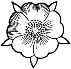 236x229 Drawings Of Flowers