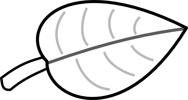 600x318 Leaf Gorda Clip Art