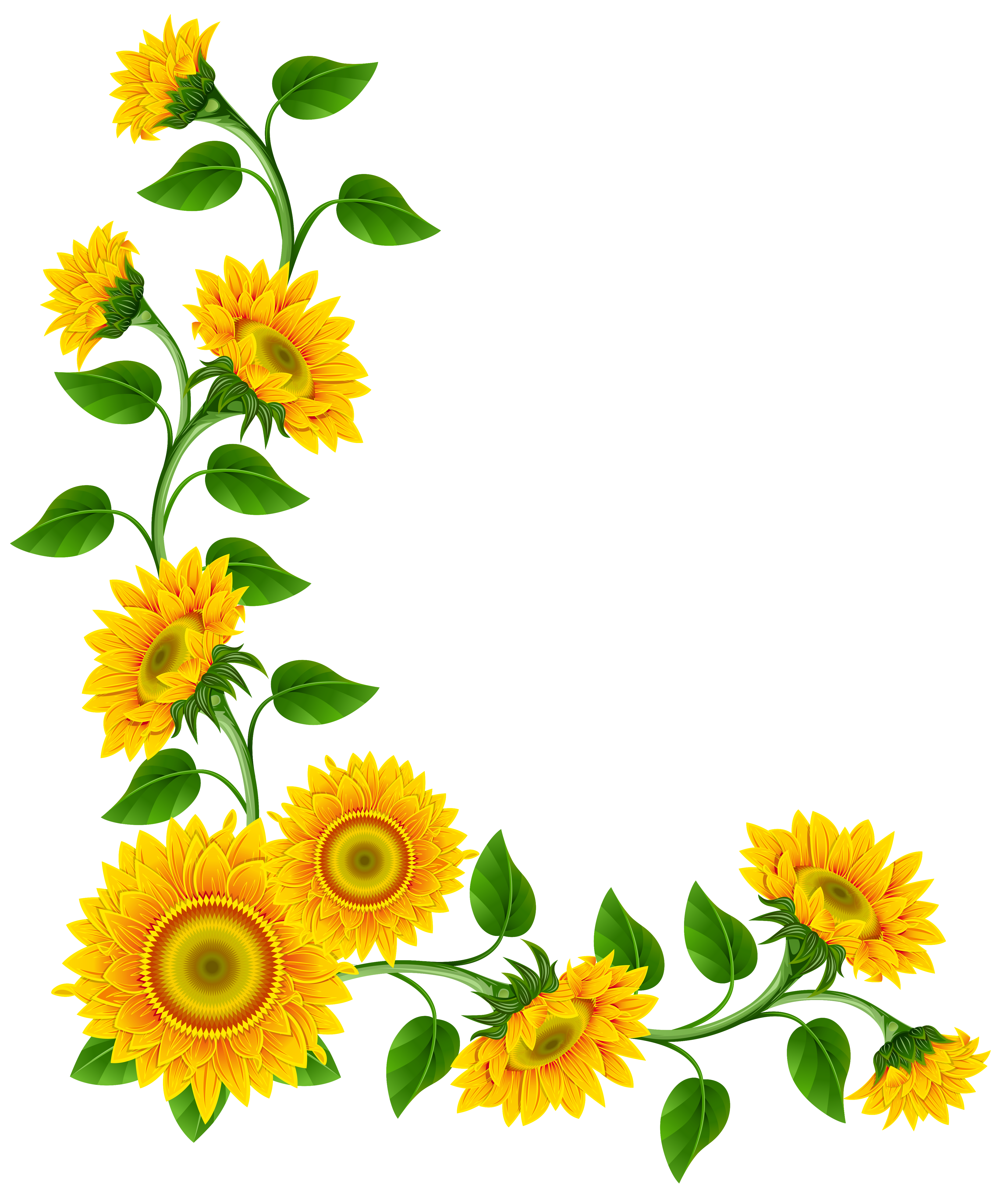 4316x5130 Sunflower Clip Art Free Clipart Images 2 Clipartbold 2