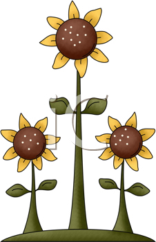 226x350 Sunflower Clipart Country