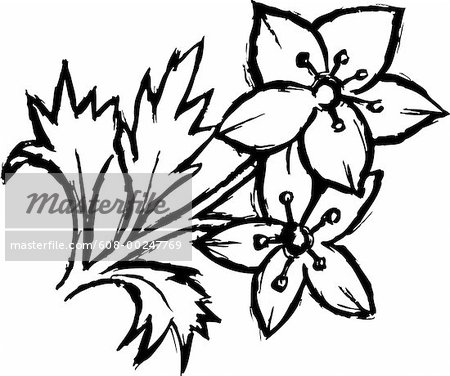 450x376 Black And White Flower Drawing Clipart Panda