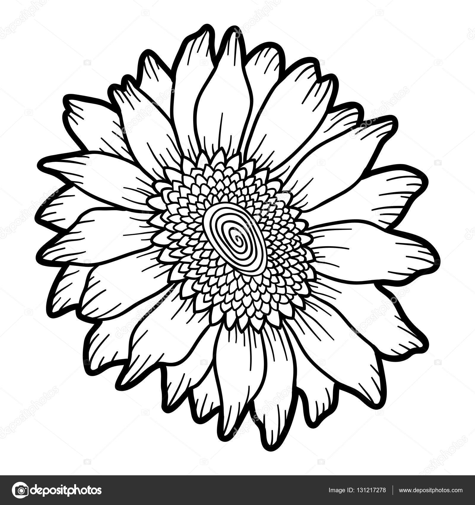 1600x1700 Coloring Book, Flower Sunflower Stock Vector Ksenya Savva