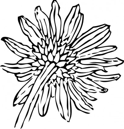 410x425 Drawn Sunflower Line Art