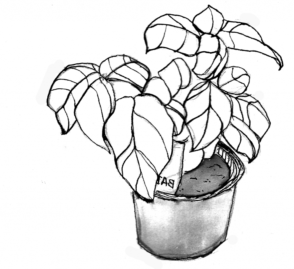 1024x938 Simple Plant Drawing Simple Black And White Sunflower Drawing