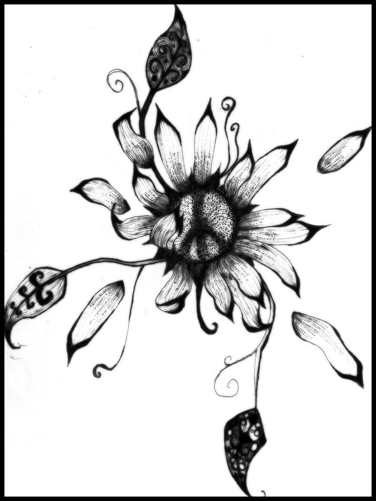 774x1031 Sunflower Drawings Peace Sunflower By ~kooohla