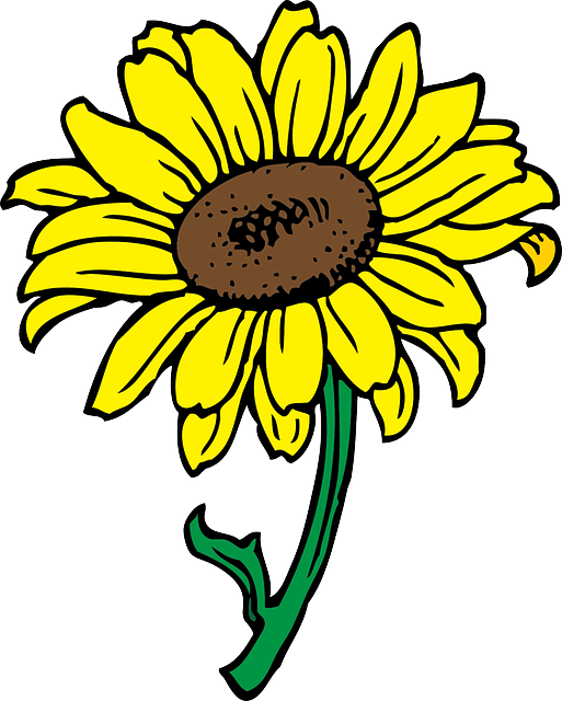 513x640 Black, Outline, Yellow, Drawing, Sun, Flower, White