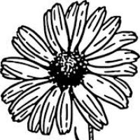 200x200 Black And White Flower Drawing