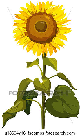 276x470 Clip Art Of Fragrant, Plant Life, Close Up, Flower, Nature, Plant