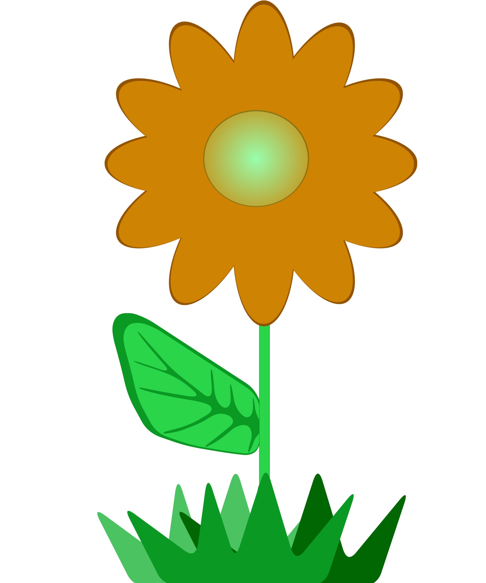 1600x1920 Flower Clip Art 2 Free Stock Photo