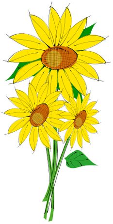 233x459 Sunflower Clip Art Designs, Clipart Amp Silhouette Things