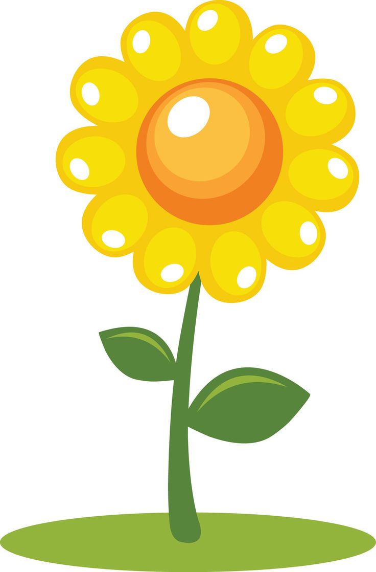 736x1118 Sunflower Clipart Spring