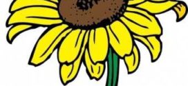 272x125 Sunflower Clip Art Clipart Free Clipart Microsoft Clipart