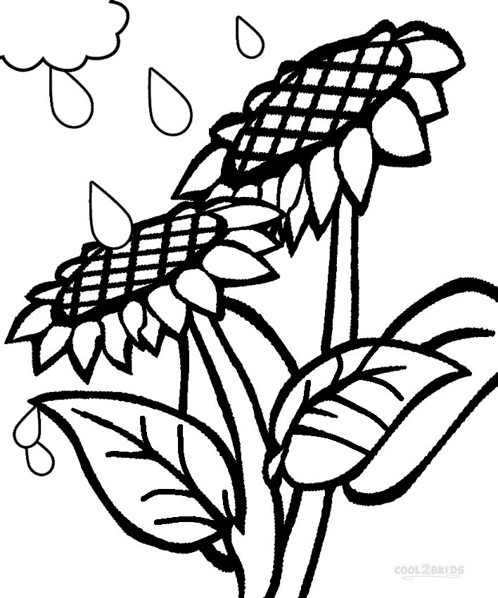 708x850 Printable Sunflower Coloring Pages For Kids Cool2bkids