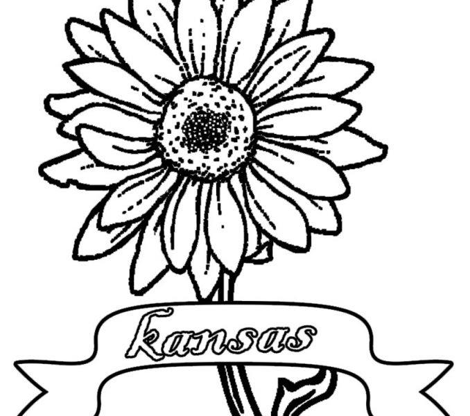 678x600 Sunflower Coloring Pages Best Coloring Pages