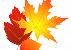 235x165 Precious Sunflower Clipart Clip Art Free Images 2 Clipartbold