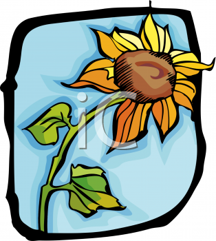 314x350 Royalty Free Sunflower Clip Art, Flower Clipart