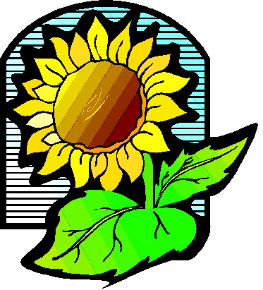 373x411 Sunflower Clip Art 6