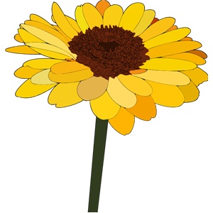 300x300 34 Best Girasoles Or Sunflowers Images Board