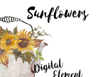 340x270 Watercolor Sunflower Clip Art Floral Summer Clipart
