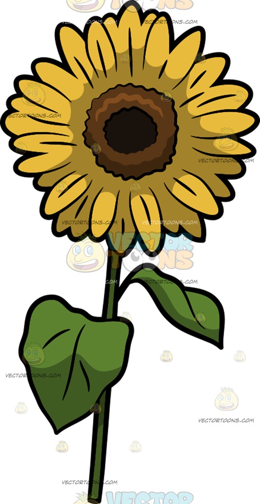 528x1024 Sunflower Clipart